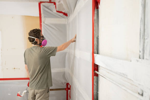 Best Mold Damage Restoration  in Ranson, WV