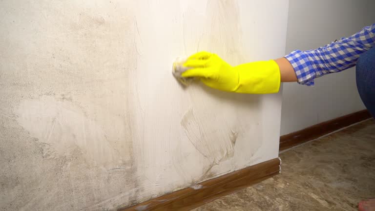 Best Indoor Air Quality Assessment  in Ranson, WV